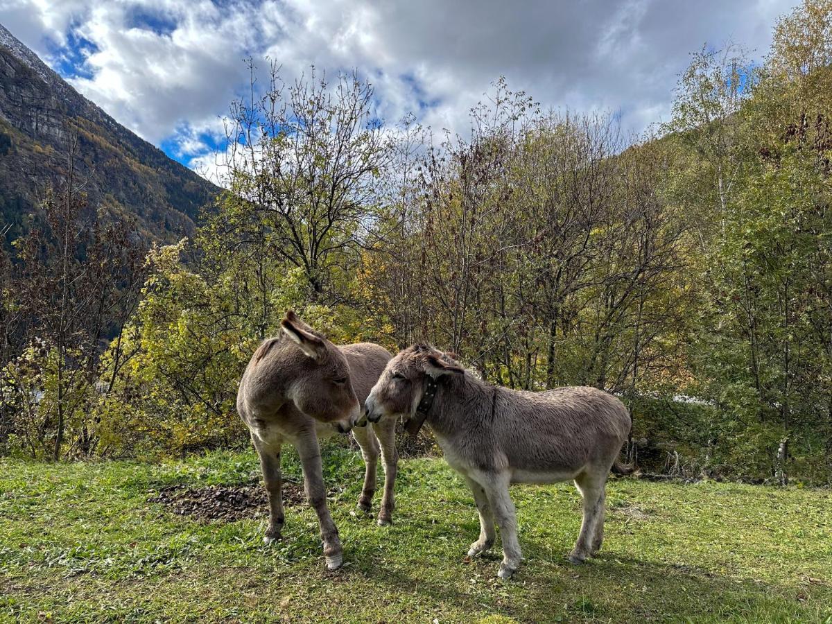 Cozyloge, Orelle & Les 3 Vallees Eksteriør bilde